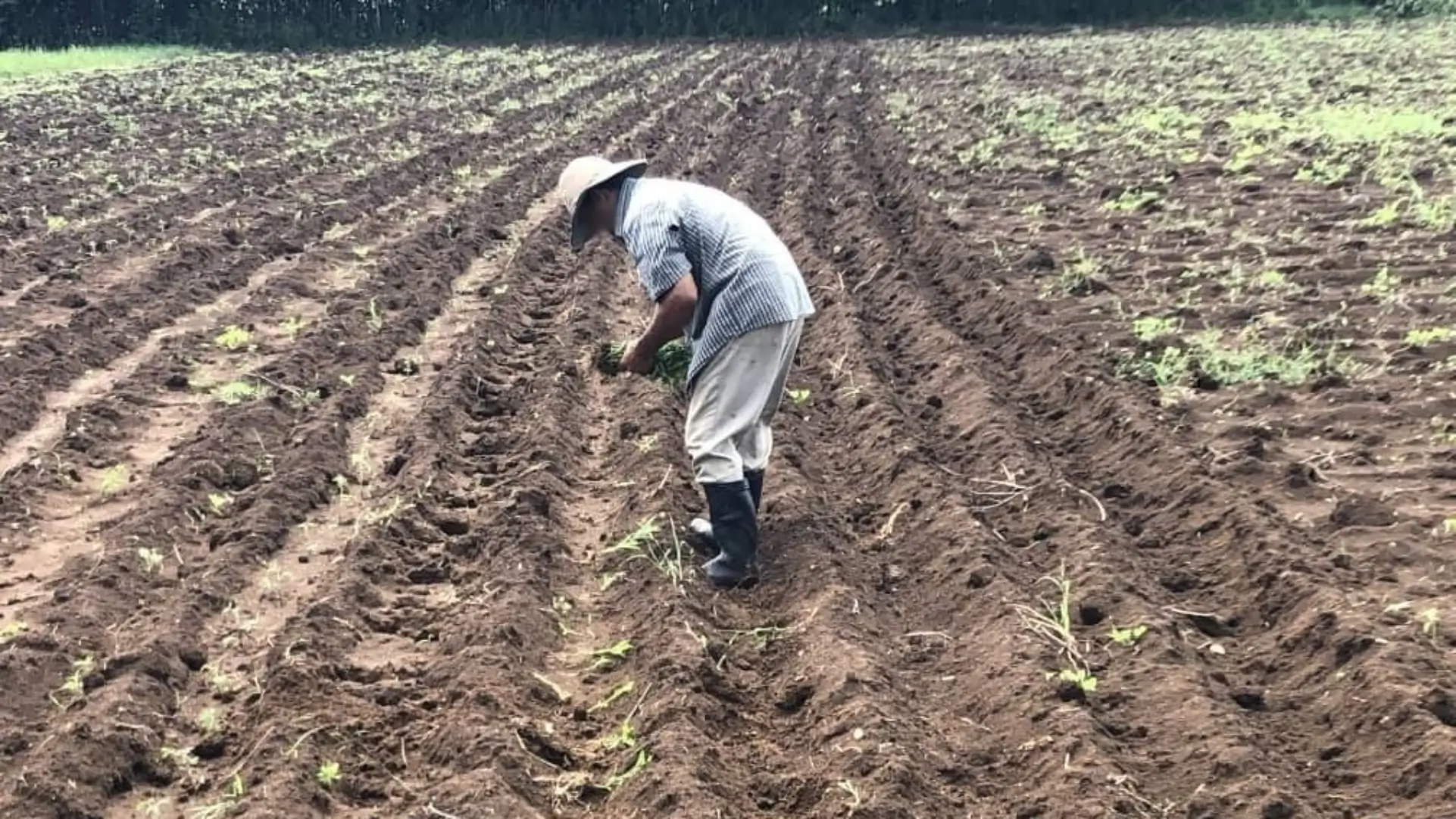 A maioria da população em Cuba vive em extrema pobreza (foto representativa)