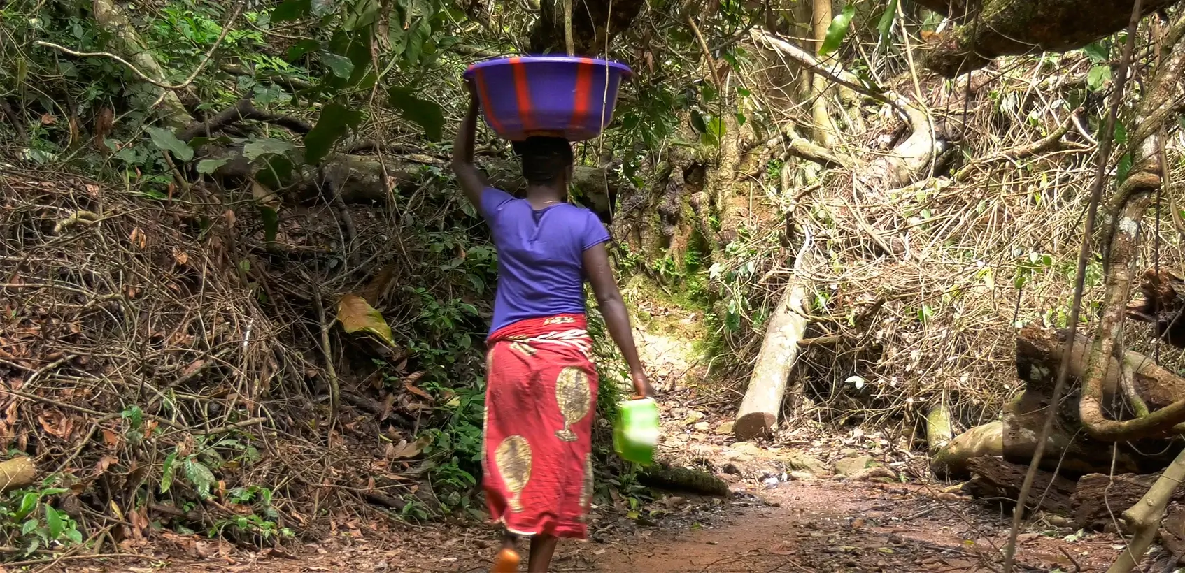 1736273932_1736273931-68 - Guinea