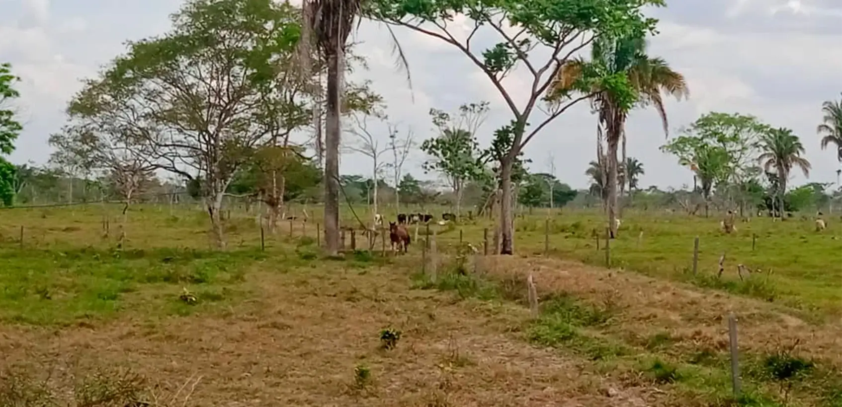 1736268223_1736268222-71 - Venezuela