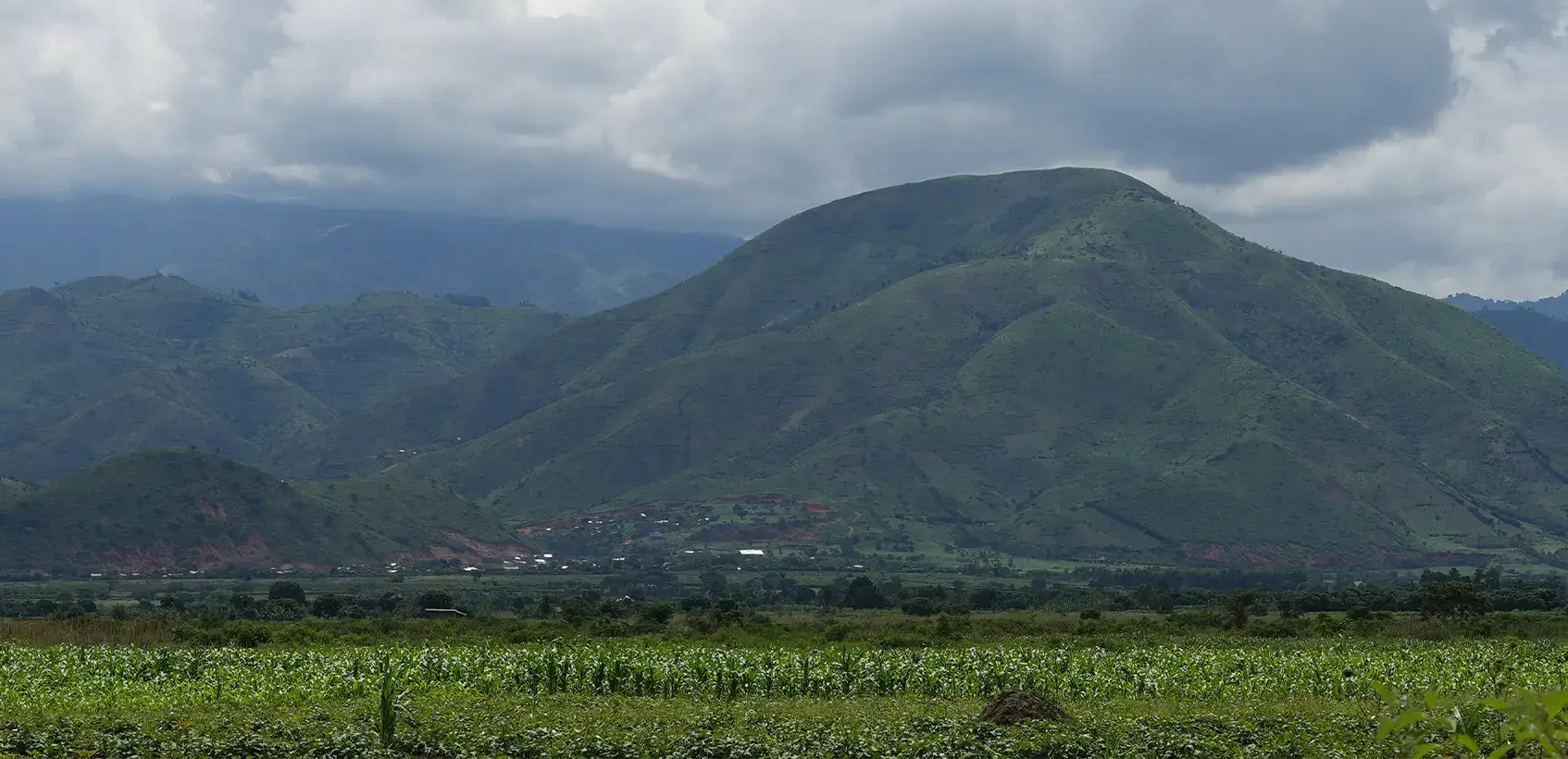 1736268450_1736268449-72 - Uganda