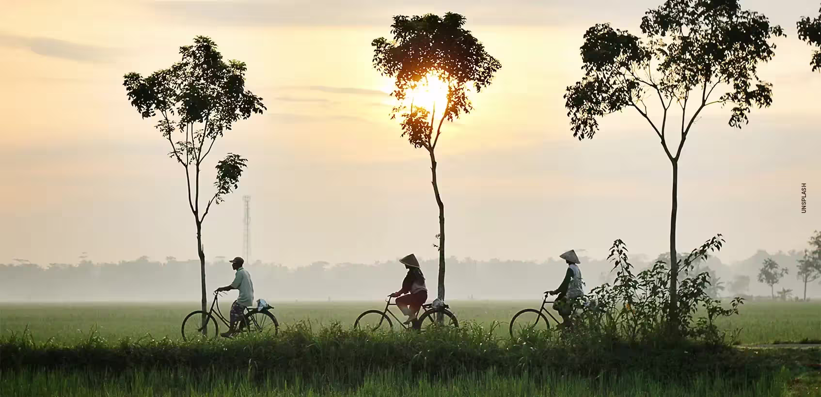 1736273062_1736273061-59 - Indonesia