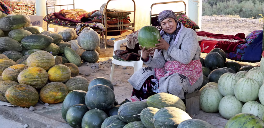 Uzbequistão 1 Mulher Uzbeque Mostrando Os Frutos Colhidos